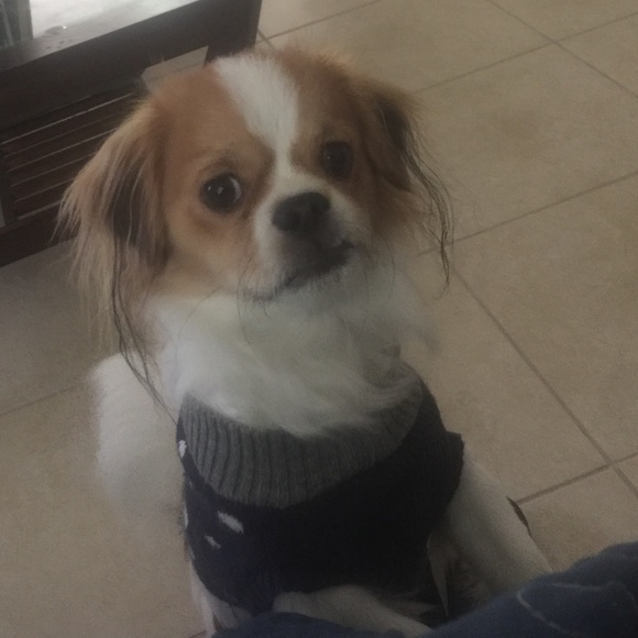 Meet your Posher, Mane356 - Picture 1 of 1